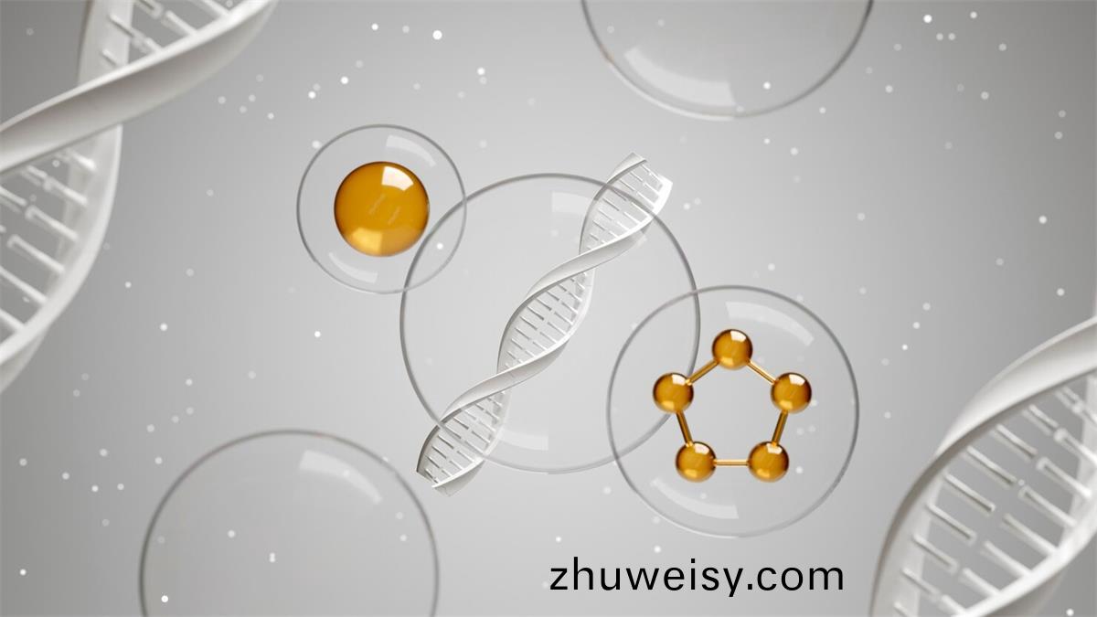 精(jing)胺昰哪(na)箇(ge)氨基痠轉(zhuan)化(hua)而來(lai)的