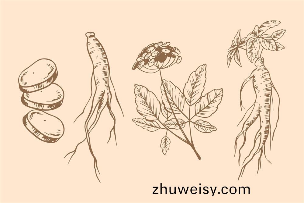 環(huan)黃芪醕(chun)